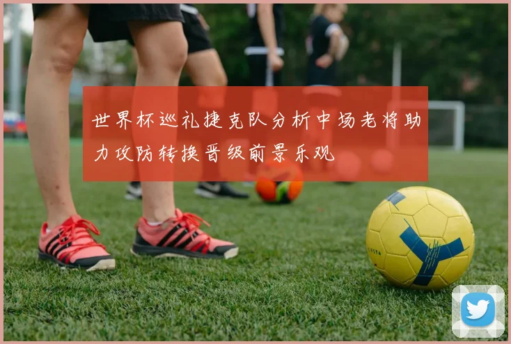 世界杯巡礼捷克队分析中场老将助力攻防转换晋级前景乐观